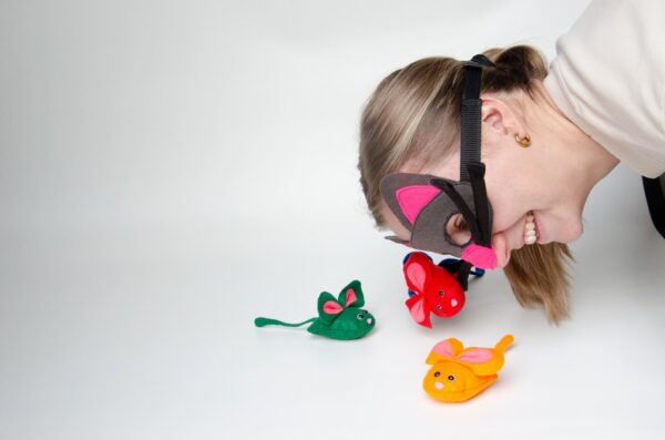Cat”ch” a mouse