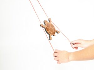 Climbing Turtle
